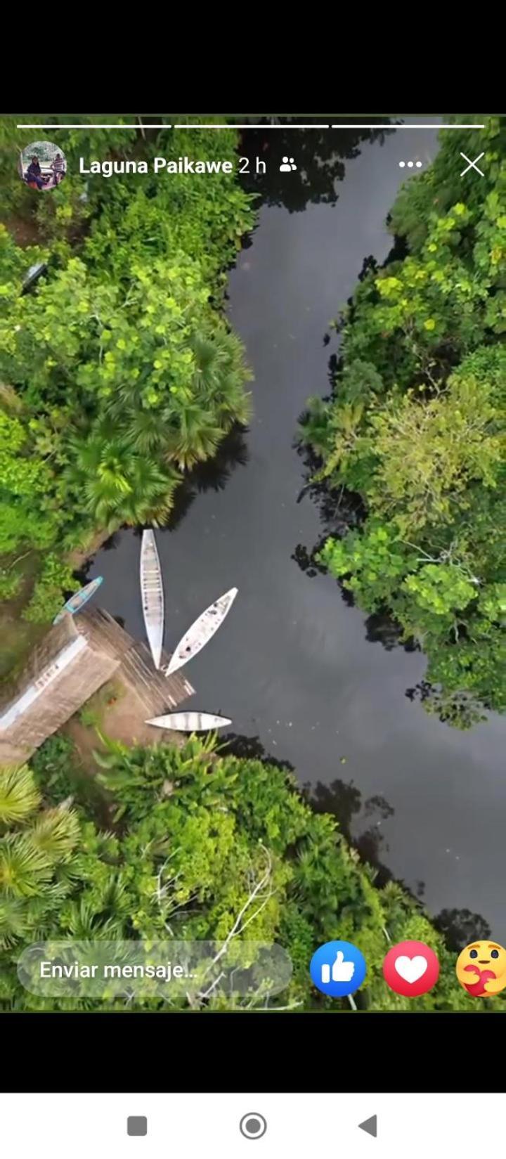 Misahualli Laguna Paikawe B&B Luaran gambar