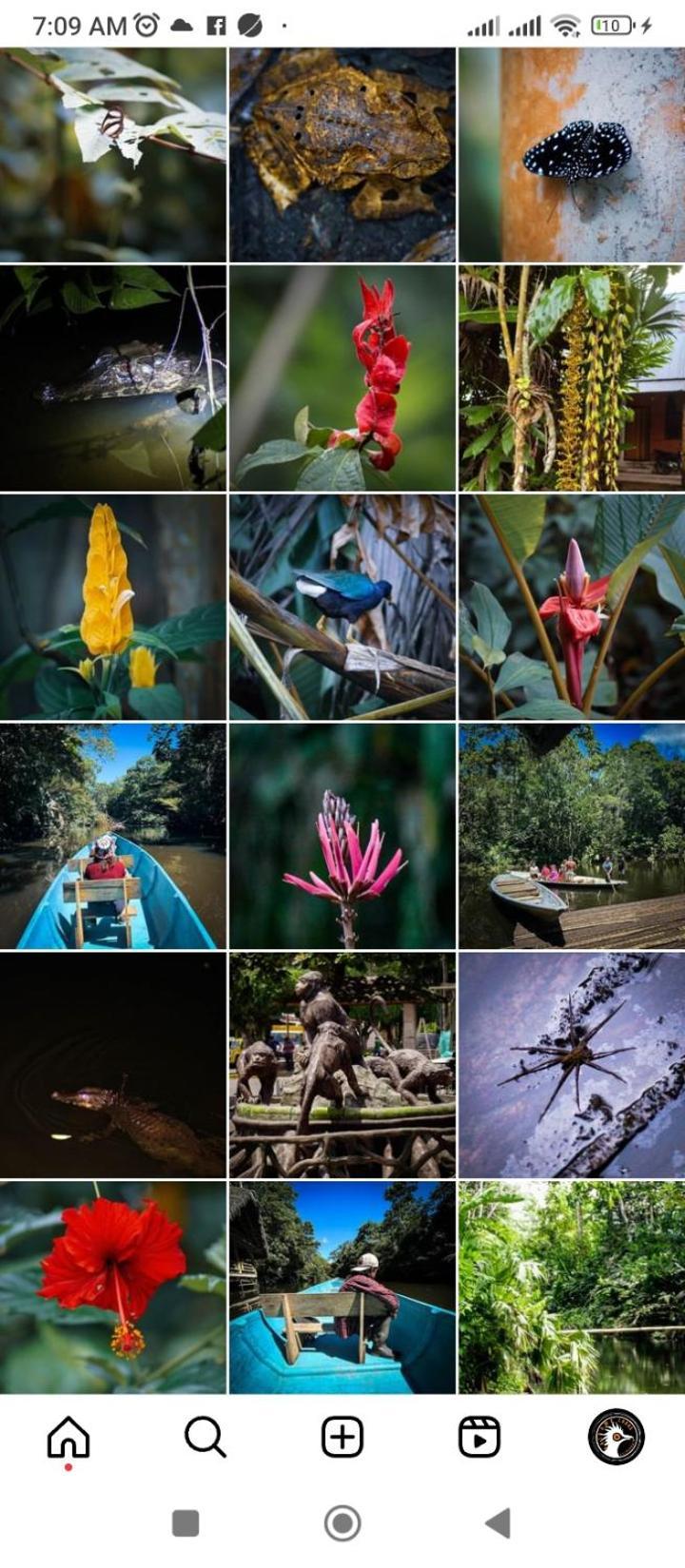 Misahualli Laguna Paikawe B&B Luaran gambar