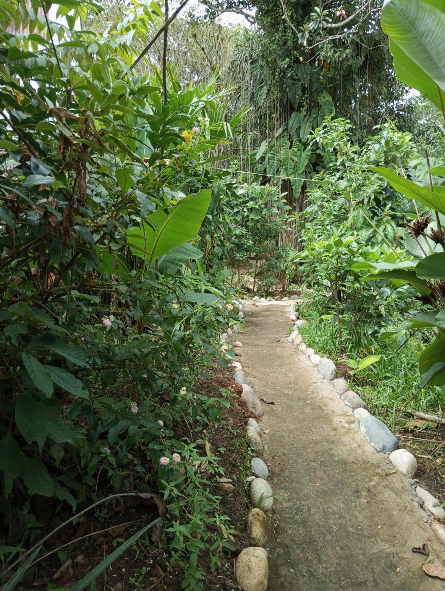 Misahualli Laguna Paikawe B&B Luaran gambar