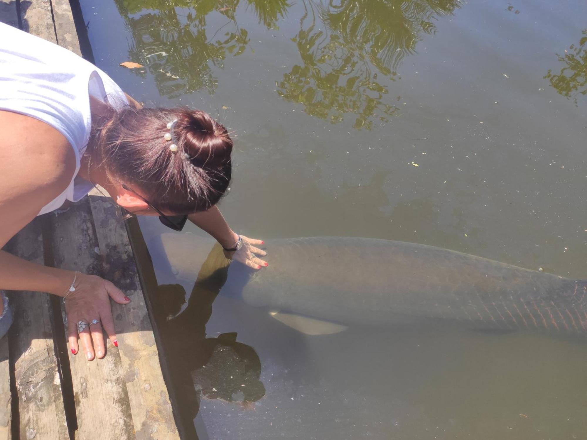 Misahualli Laguna Paikawe B&B Bilik gambar