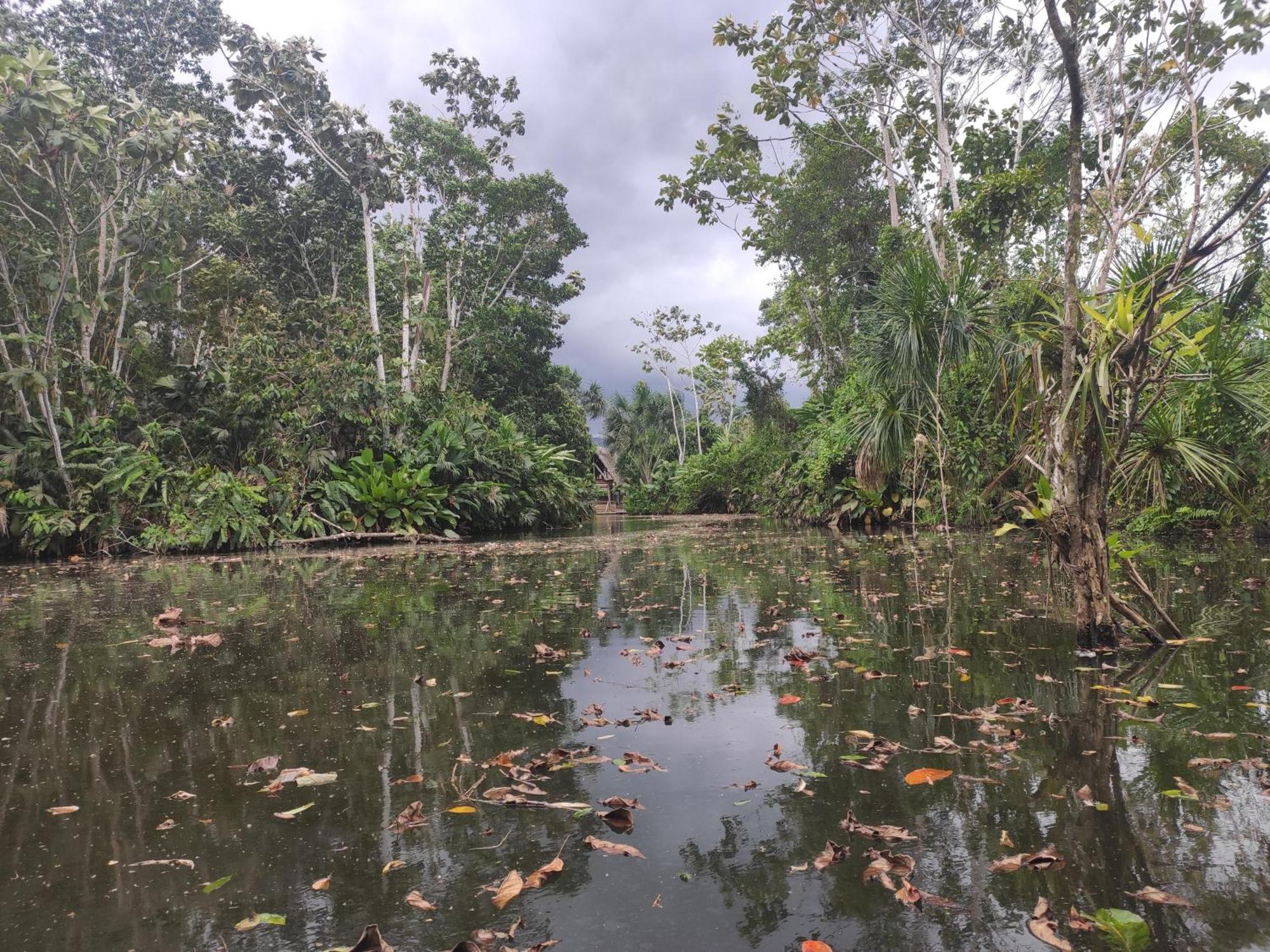 Misahualli Laguna Paikawe B&B Bilik gambar