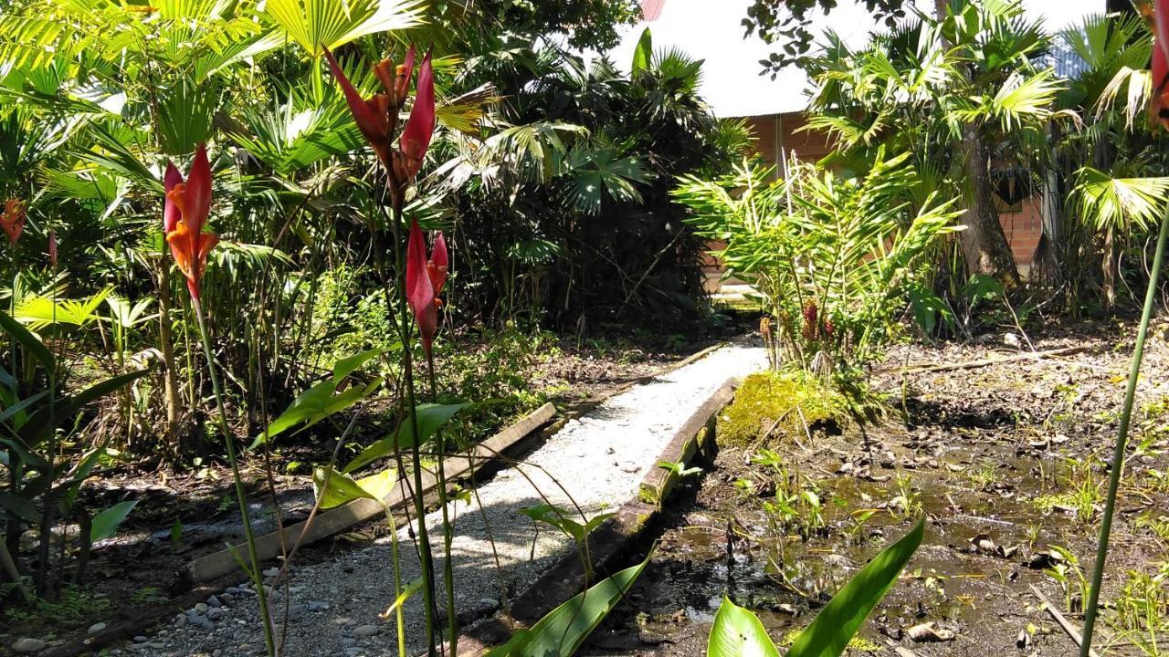 Misahualli Laguna Paikawe B&B Luaran gambar