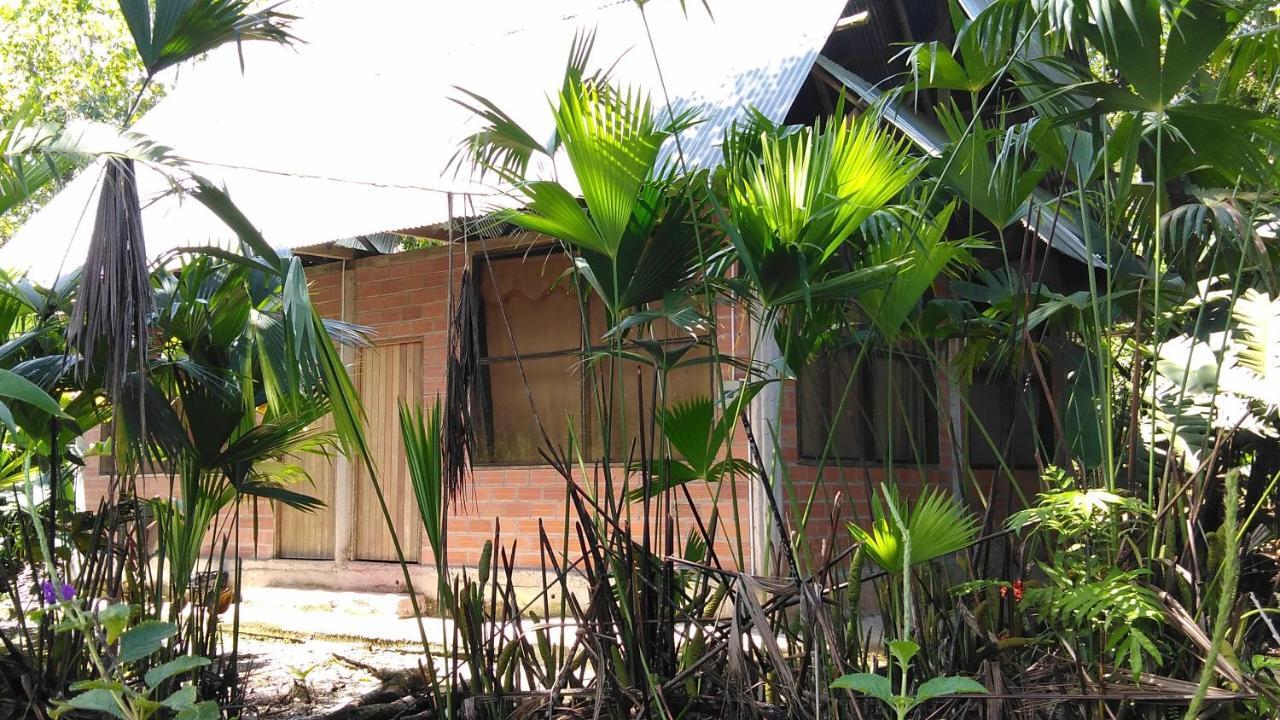 Misahualli Laguna Paikawe B&B Luaran gambar