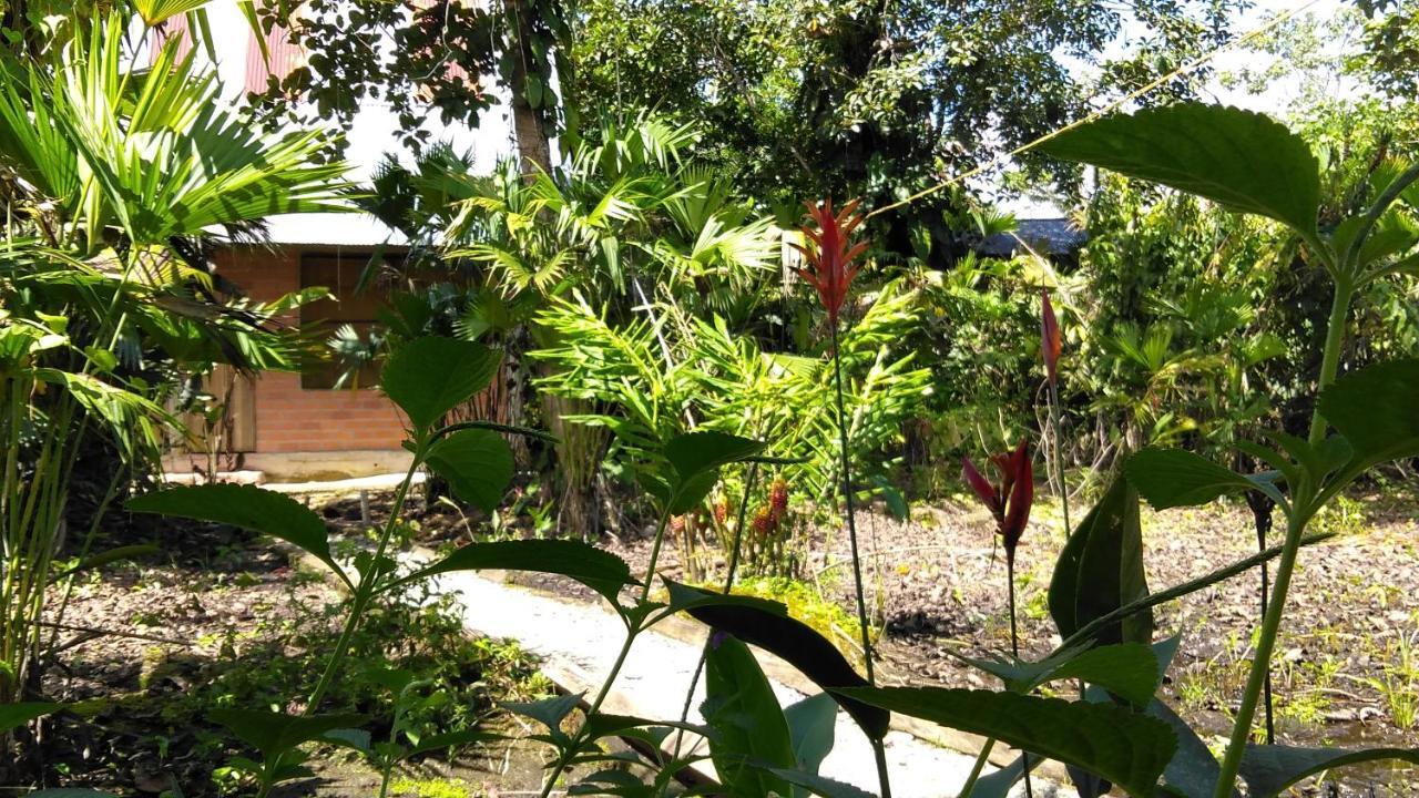 Misahualli Laguna Paikawe B&B Luaran gambar