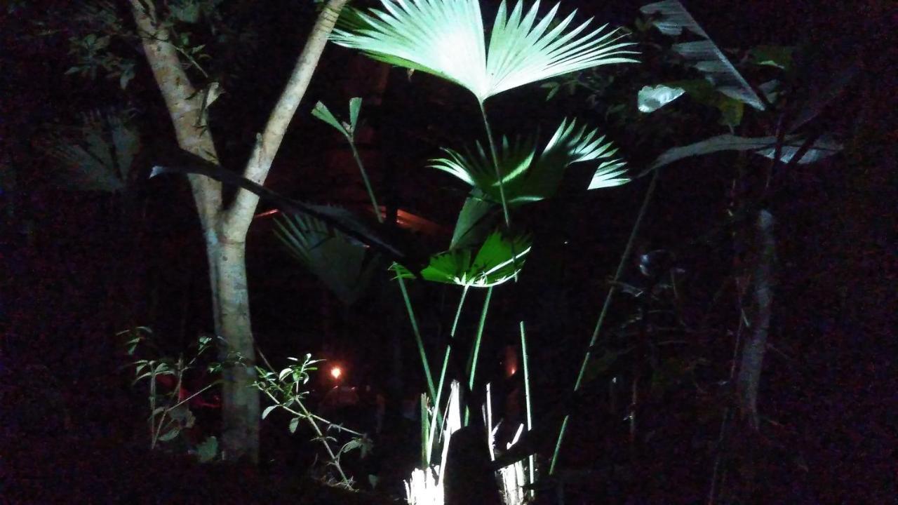 Misahualli Laguna Paikawe B&B Luaran gambar